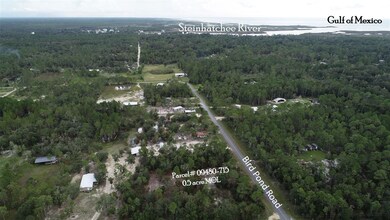 912 Bird Pond Rd, Steinhatchee, FL 32359 - photo 2