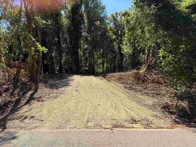 0 Bethuel Rd unit Lot 5, Unincorporated, TN 38053 - photo 2