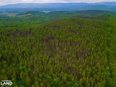 0 Cr 77, Ashland, AL 36251 - photo 3