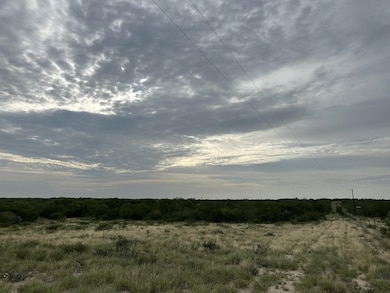3441 U S Highway 83 unit PARCEL 3-B TX, Zapata, TX 78076 - photo 3