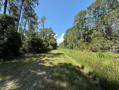 210 2nd St, Georgetown Cove, FL 32139 - photo 3