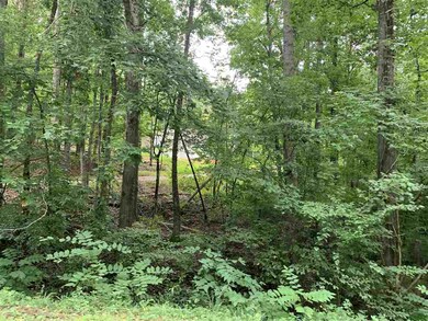 760 Bear Creek Rd, Blacksburg, SC 29702 - photo 7