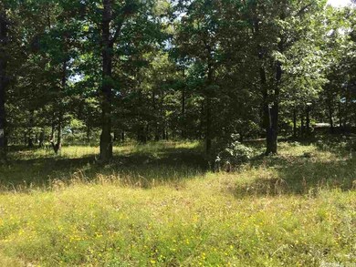 1315 Trailwood Dr, Heber Springs, AR 72543 - photo 2