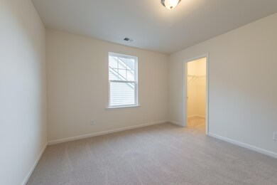 409 American Goldfinch Way, Moncks Corner, SC 29461 - photo 6