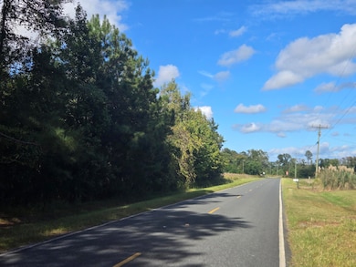 0 Blewer, Cope, SC 29038 - photo 4