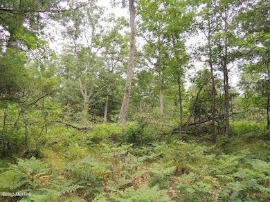 no # 14 Mile Rd, Bitely, MI 49309 - photo 4