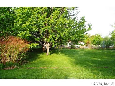 Yard.