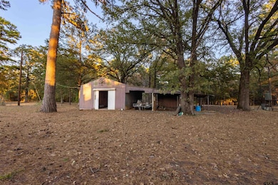 3702 E State Highway 154, Quitman, TX 75783 - photo 5