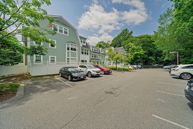 37 Hastings St unit 207, West Roxbury, MA 02132 - photo 4
