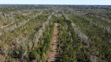 Lot 7 Mcmillan Rd, Hahira, GA - photo 6