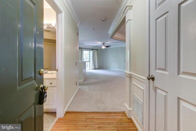 12461 Hayes Ct unit 204, Fairfax, VA 22033 - photo 4