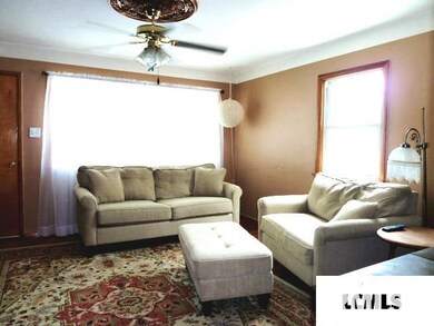 229 Welch Dr, Lincoln, IL 62656 - photo 3