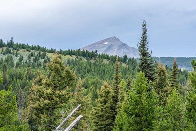 155 Seclusion Point Fork, Big Sky, MT 59716 - photo 5