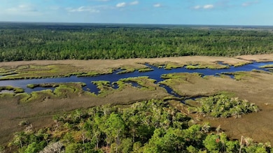 0 Georgetown Rd, Brunswick, GA 31523 - photo 2