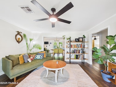 521 Saint Catherine St, Lafayette, LA 70506 - photo 6