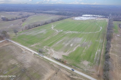 0 Lanier Rd, Alamo, TN 38001 - photo 3