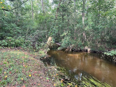 830 Colbert Bridge Rd, Windsor, SC 29856 - photo 4