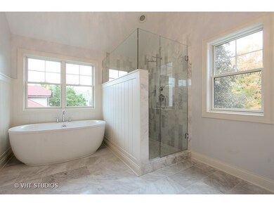 249 N Geneva Ave, Elmhurst, IL 60126 - photo 6