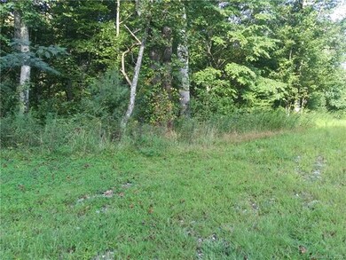 5 Mountain Holly Dr unit 57, Leicester, NC 28748 - photo 2