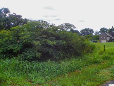 Additional View 5