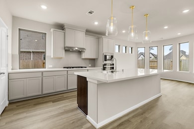 32465 Soaring Willow Way, Shenandoah, TX 77385 - photo 3