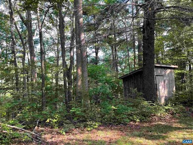 tbd Campbells Mountain Rd, Tyro, VA 22976 - photo 6