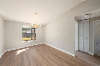 814 Satinleaf Ave, Oldsmar, FL 34677 - photo 7