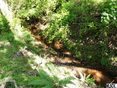 6630 Sain Milling Rd, Vale, NC 28168 - photo 6