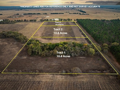 003 An County Road 117, Elkhart, TX 75839 - photo 5