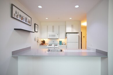 Waterworks Museum Condominiums unit 111, Chestnut Hill, MA 02467 - photo 4