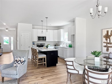 166 Pellin's unit 166 STB, Washington, MO 63090 - photo 2