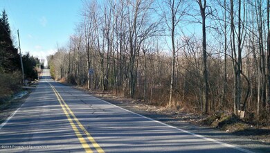 0 Yostville Rd, Covington Township, PA 18444 - photo 4