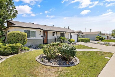 3-web-or-mls-713A2394