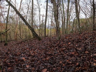 Tract 3 Lakeway Rd, Morristown, TN 37814 - photo 5