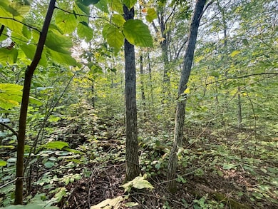 .55A On N Scipio Ave, Bass Lake, WI 54843 - photo 3