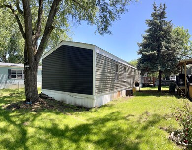 Backside View