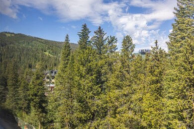 75 Hunki Dori Ct unit W403, Dillon, CO 80435 - photo 7