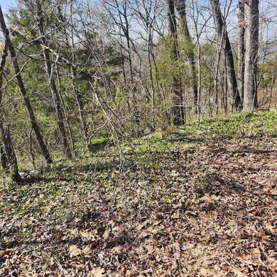 L-3, B-24 Algonquin Cir, Cherokee Village, AR 72529 - photo 7