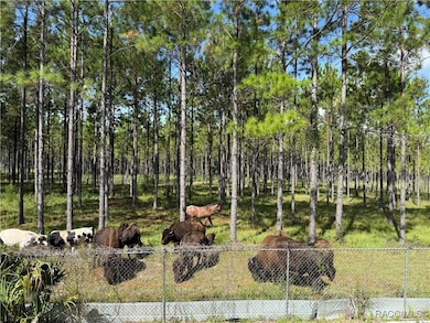 8250 W Fairoak Ct, Crystal River, FL 34428 - photo 6