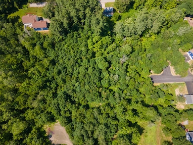 DJI_0085