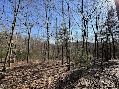 576v Ridge Rd, Wilbraham, MA 01095 - photo 6