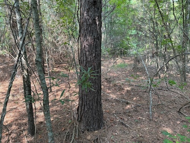 0 Best Rd, Simsboro, LA 71275 - photo 3