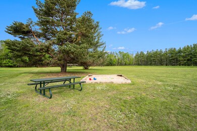Cedar Meadows