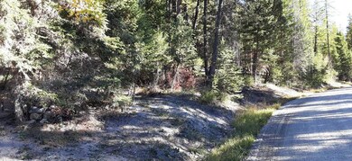 747 Spring Hill Rd, Kila, MT 59920 - photo 4