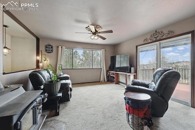 1184 Bennett Dr, Cripple Creek, CO 80813 - photo 4