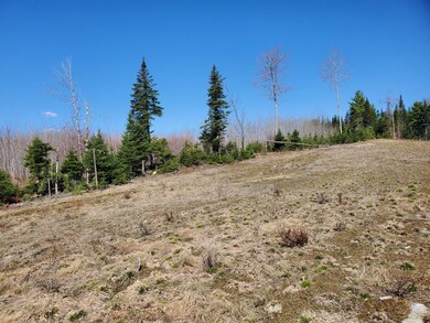 Lot 6-3 S Harmony Rd, Athens, ME 04912 - photo 7