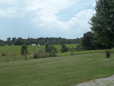 View from back patio! 