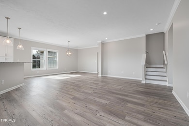 131 New Hope Rd, Jonesborough, TN 37659 - photo 4