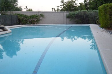 large swim pool