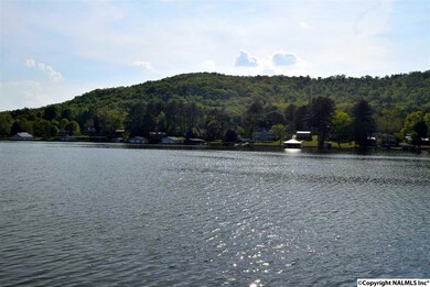 2002 White Elephant Rd, Grant, AL 35747 - photo 3